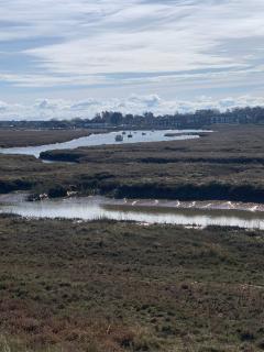 Morning of day 3 - marching around the marshes